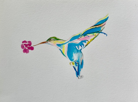 Mango Hummingbird Drinks Nectar